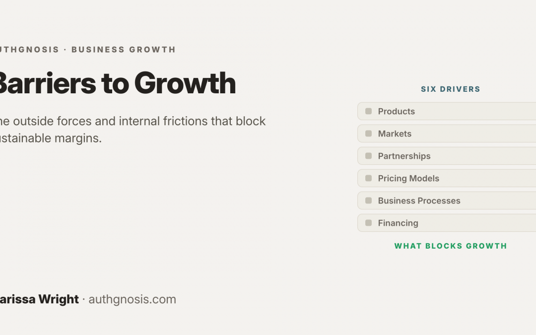 What Are the Barriers to Growth?