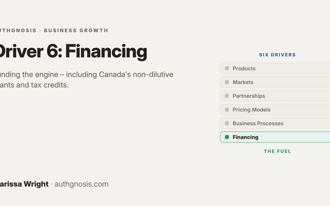 Driver 6: Financing