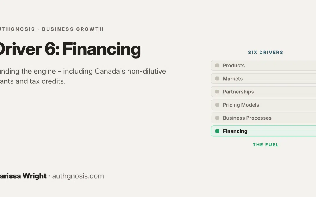 Driver 6: Financing