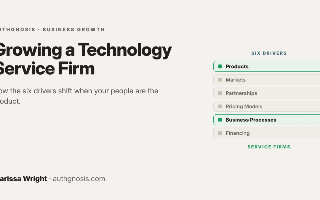 A Special Case: Growing a Technology Service Firm